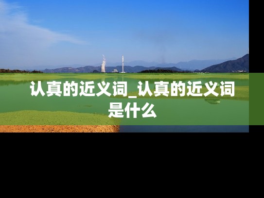 认真的近义词_认真的近义词是什么