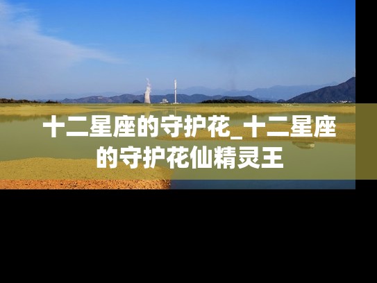 十二星座的守护花_十二星座的守护花仙精灵王