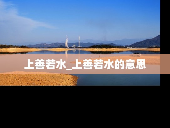 上善若水_上善若水的意思