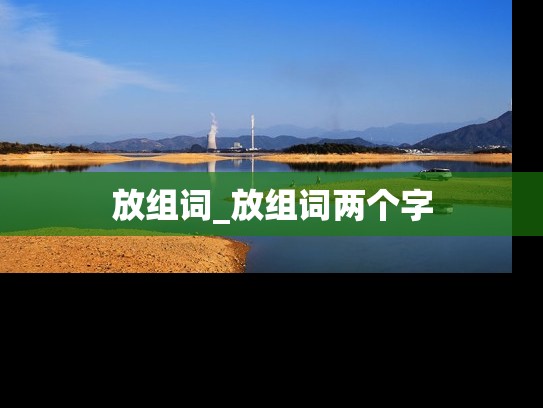 放组词_放组词两个字