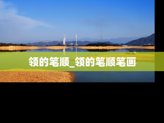 领的笔顺_领的笔顺笔画