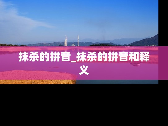 抹杀的拼音_抹杀的拼音和释义