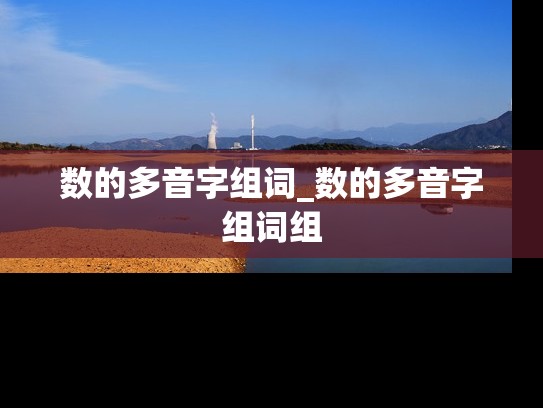 数的多音字组词_数的多音字组词组