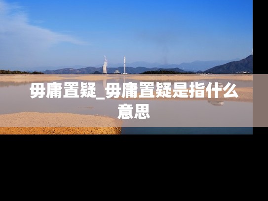 毋庸置疑_毋庸置疑是指什么意思