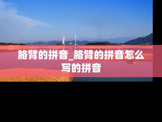 胳臂的拼音_胳臂的拼音怎么写的拼音