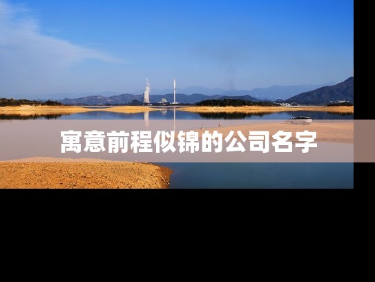 寓意前程似锦的公司名字