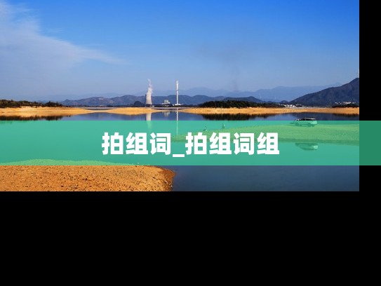 拍组词_拍组词组