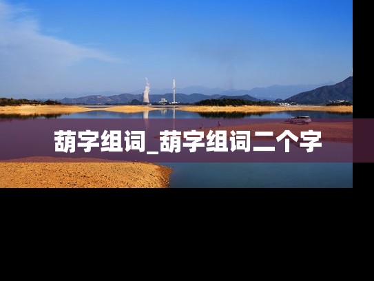 葫字组词_葫字组词二个字