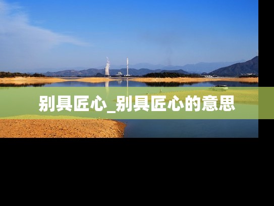别具匠心_别具匠心的意思