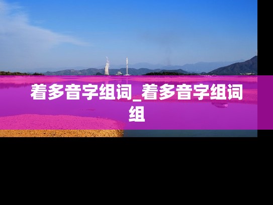 着多音字组词_着多音字组词组