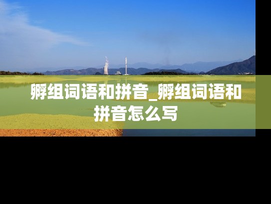 孵组词语和拼音_孵组词语和拼音怎么写